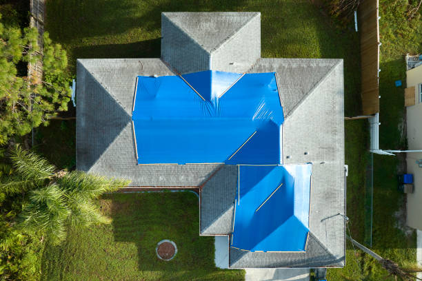 Best Skylight Installation and Repair  in Mckee City, NJ